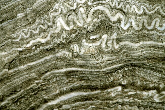 Barbarossahöhle - Schlangengips