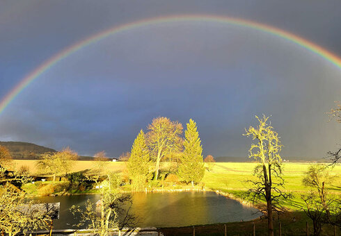 Regenbogen