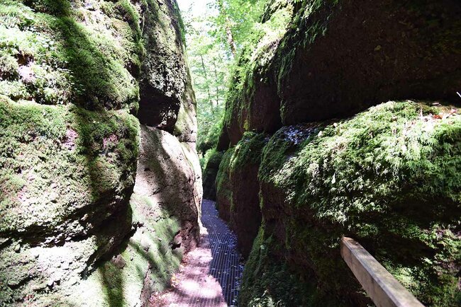 Klamm Drachenschlucht bei Eisenach