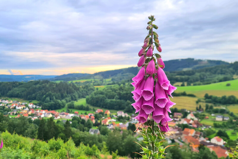 Blick auf Floh-Seligenthal