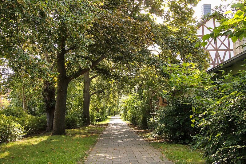 Spazierweg durch Kelbra