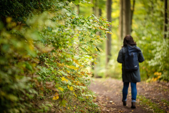Abwechslungsreiche Wanderung (Foto: TI Ilmenau)