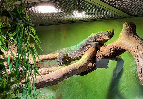 Exotarium Oberhof