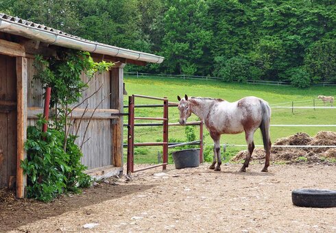 Landurlaub im Süden von Thüringen