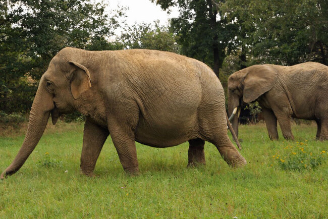 Erlebnispark Starkenberg