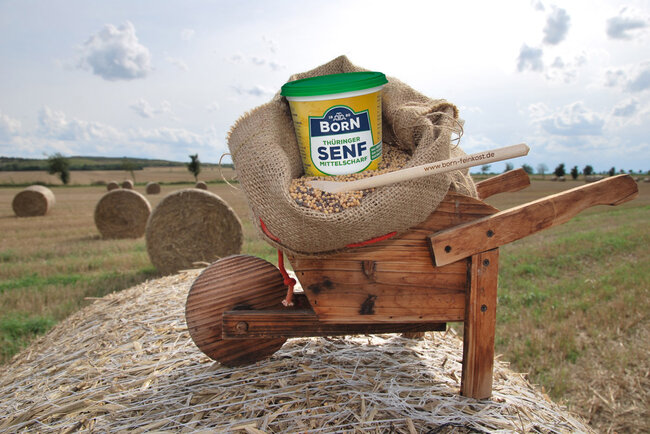 Born Senf-Ernte in Thüringen