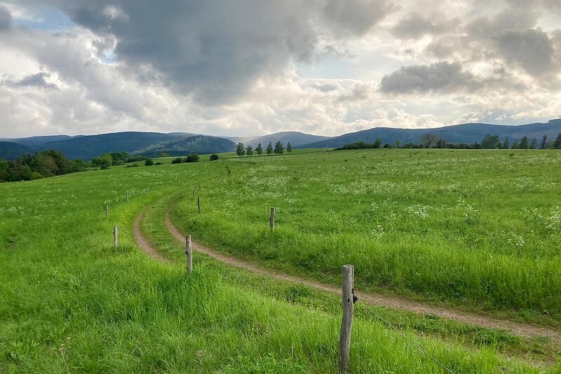 Wanderung in der Umgebung