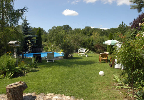 Blick in den Garten