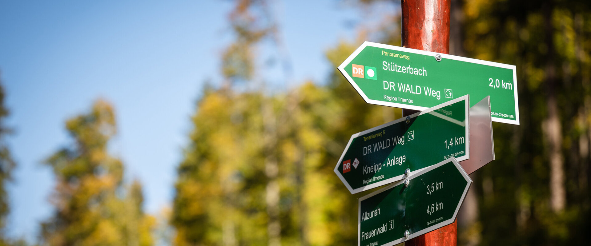 Doktor-Wald-Weg (Foto: TI Ilmenau)