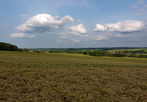 Blick auf Oßmannstedt