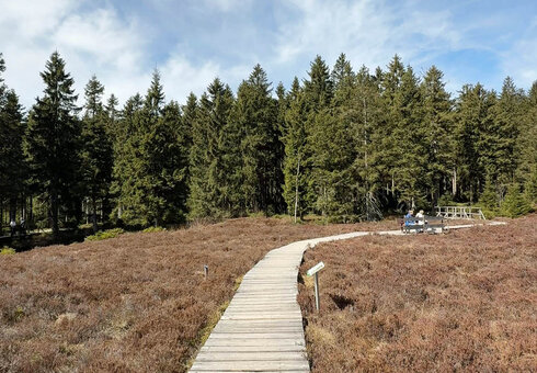 Rätselranger-Tour bei Oberhof - Moorlehrpfad
