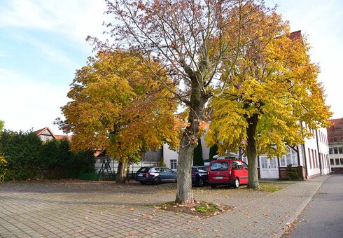 Parkplatz hinter dem Hotel