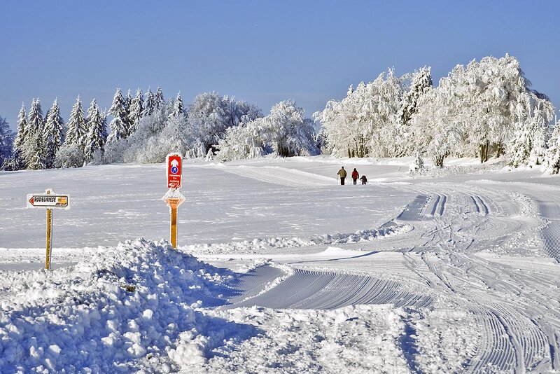 Ski fahren im Winter