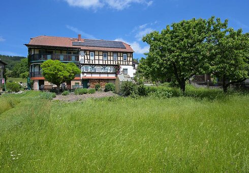 Garten mit großer Wiese