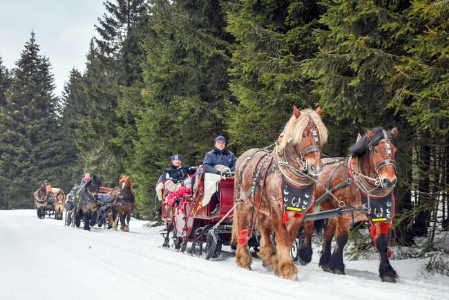 Reit- und Kutschtouristik Ortlepp