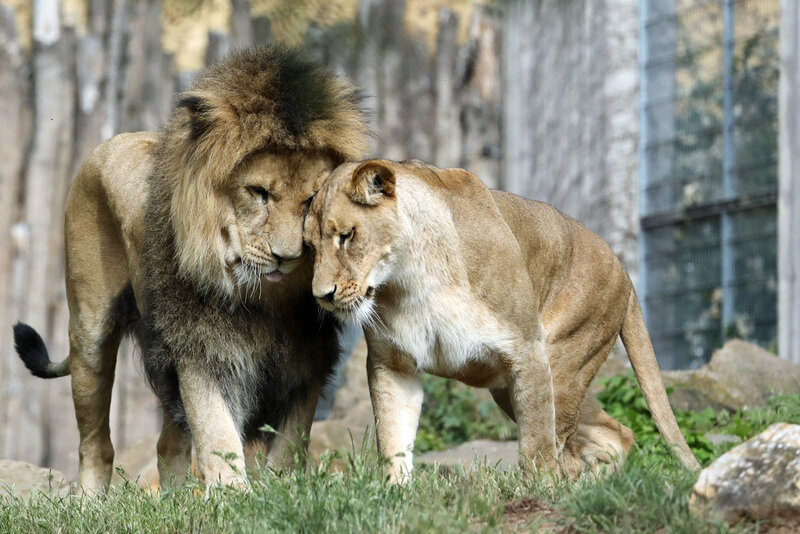 Thüringer Zoopark Erfurt