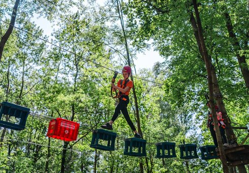 Kletterwald Koala