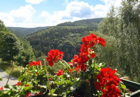 Blick in die umliegende Natur