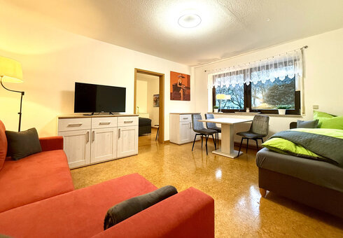 Wohnzimmer mit Esstisch, Einzelbett & Schlafcouch