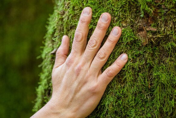 Wald spüren (Foto: TI Ilmenau)