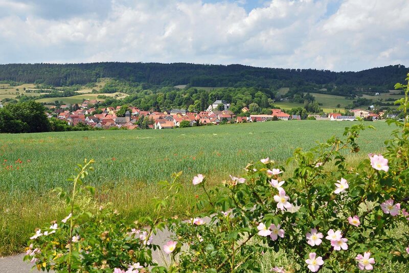 Blick auf Großkochberg