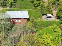 Waldluftin