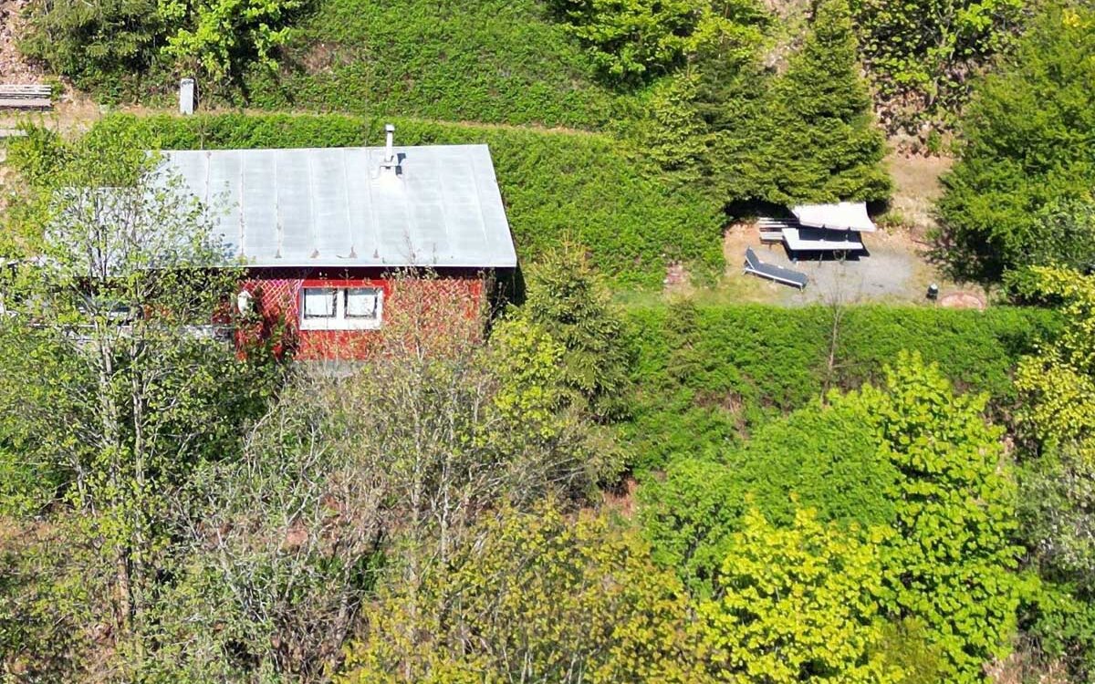 Waldluftin