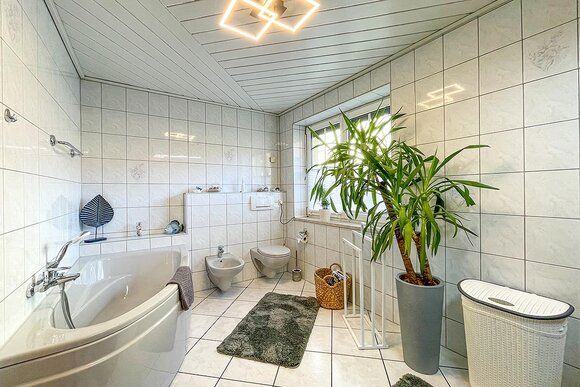 Grünpflanze im Badezimmer (Ferienhaus Uhunest)