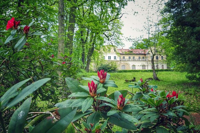 Schlosspark Tannenfeld