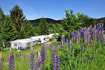 idyllisch gelegener Campingplatz im Thüringer Wald