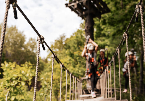 Kletterwald Koala