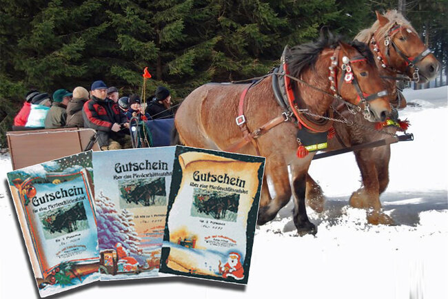 Reit- und Kutschtouristik Ortlepp