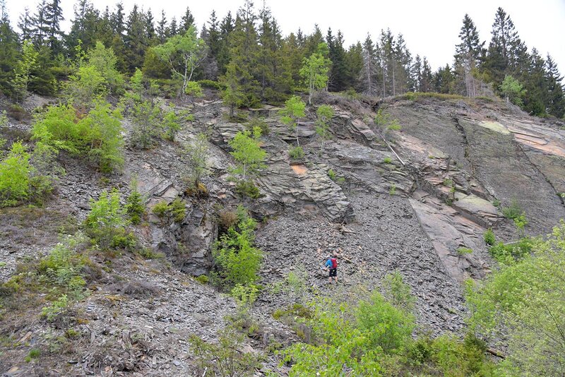 Griffelschieferbruch am Roten Berg