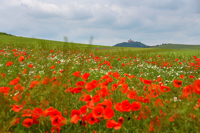 Landschaft im Thüringer Burgenland Drei Gleichen