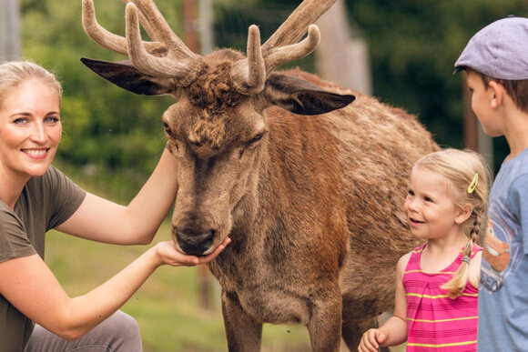 Wildgehege Unterschönau (Foto: René Kellermann)