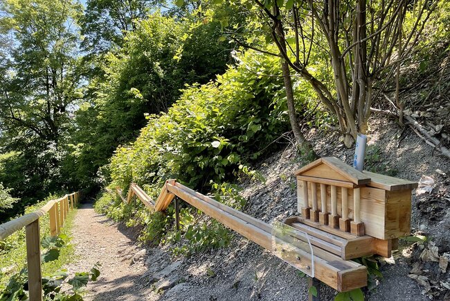 Murmelbahn an der Goetz-Höhle