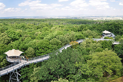 Baumkronenpfad im Nationalpark Hainich