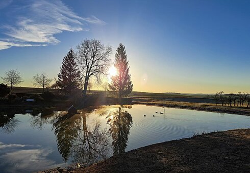 Teich direkt am Haus