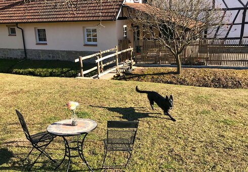 eingezäunter Garten - ideal für Urlaub mit Hund