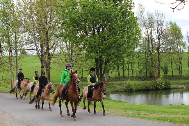 Reiterhof Rosenberger Hof