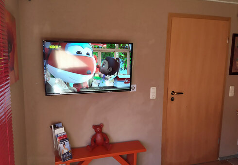 TV