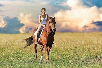 Frau auf einem Pferd auf einer Wiese