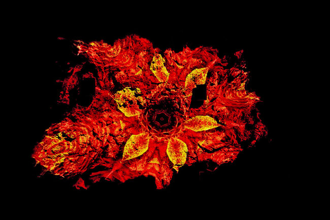 Altensteiner Höhle © Foto: Falk Ziebarth