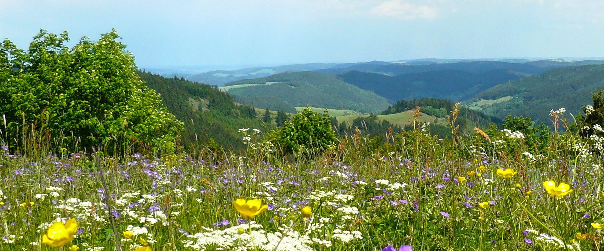 Heu-Heinrich - Heu aus dem Thüringer Wald