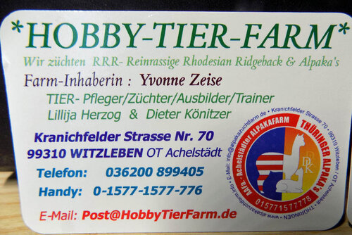 Alpaka Farm Erlebnis plus Komfort Natur Campingplatz, Witzleben