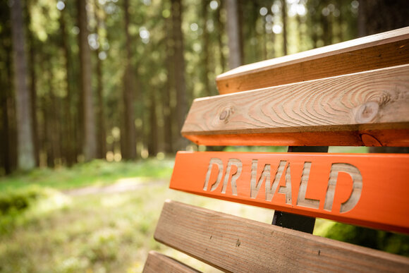 Doktor-Wald-Weg (Foto: TI Ilmenau)