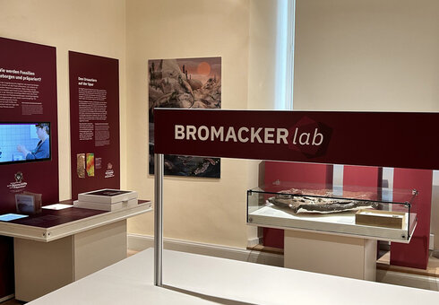 BROMACKER lab 
