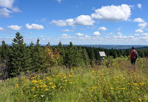 Ausblick vom Schneekopf