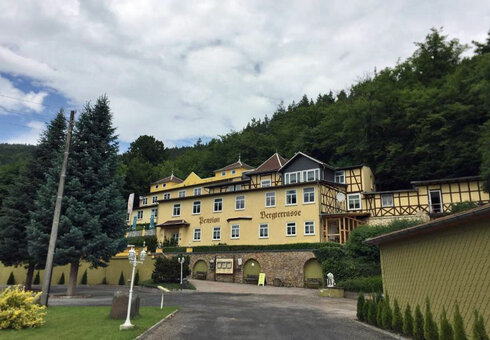 Pension Bergterrasse, Sitzendorf