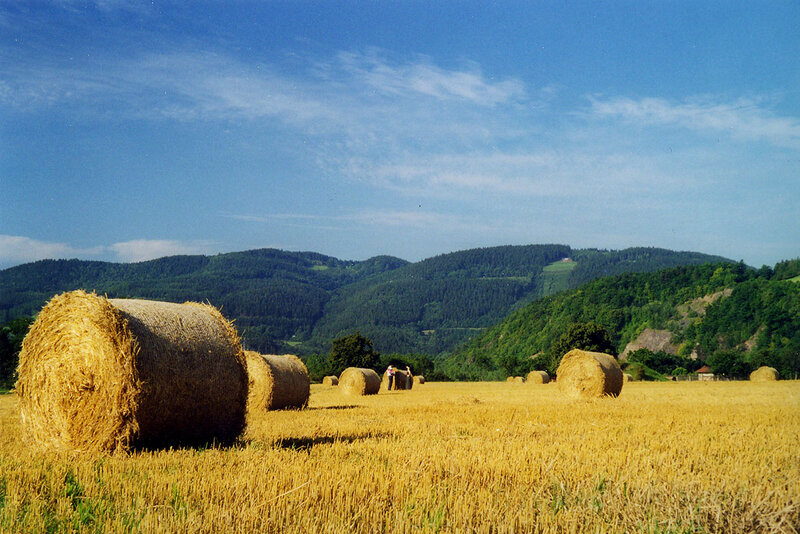 Landschaft im Saaletal